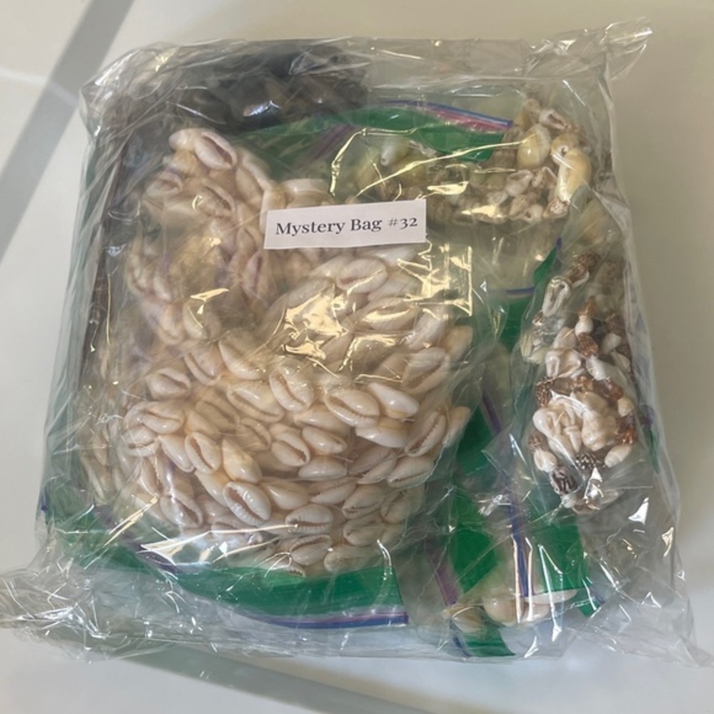 Mystery Jewelry Bag with Natural Shells #32